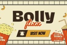 bollyflix movie