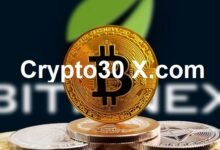 Crypto30 X.com